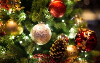 12th December 2025 Newsletter