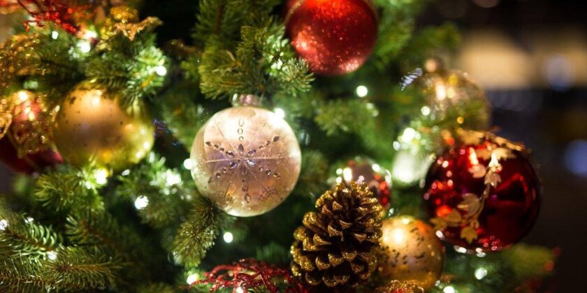 12th December 2025 Newsletter