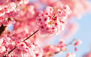 13th March 2026 Newsletter