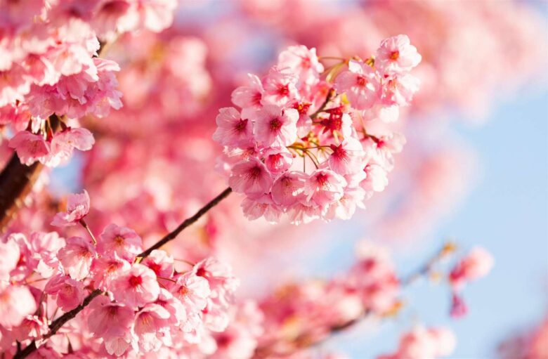 13th March 2026 Newsletter