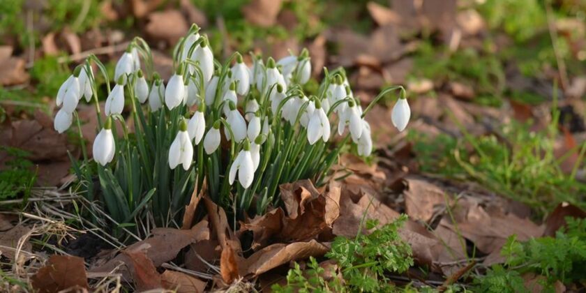 23rd January 2026 Newsletter