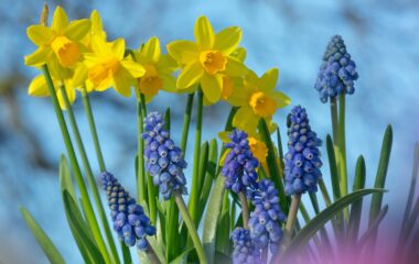 6th February 2026 Newsletter