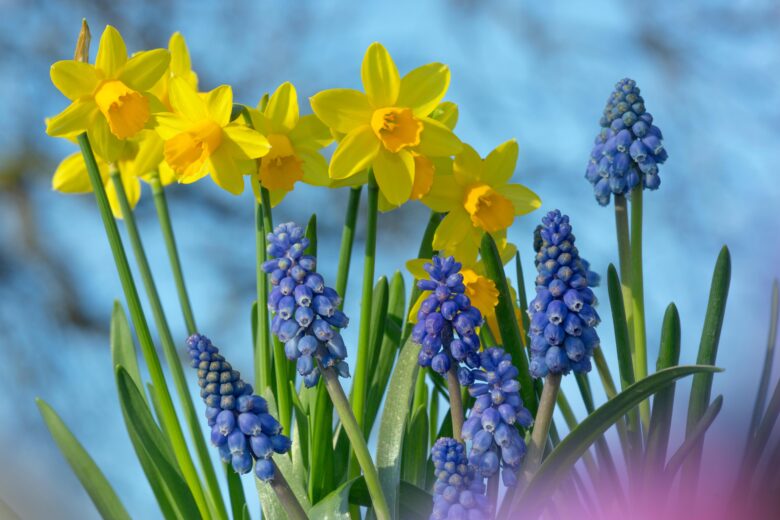 6th February 2026 Newsletter