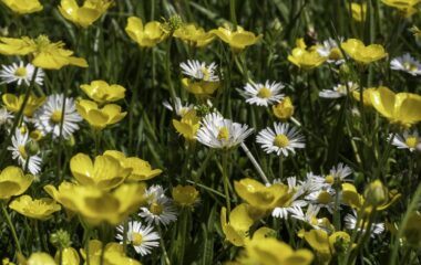 24th April 2026 Newsletter