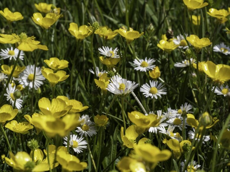 24th April 2026 Newsletter